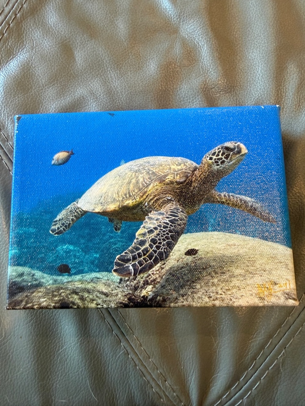 🟣 3/$30 - 7” x 5” Sea Turtle Ocean Canvas Wall Art
